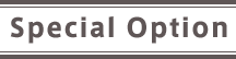 Special Option